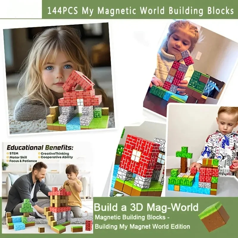 Magnetic Building Block Toys Success